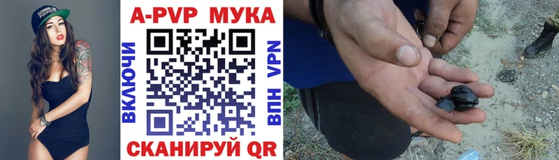 закладки  shop официальный сайт  ссылка на мегу tor  A-PVP крисы CK  Георгиевск 
