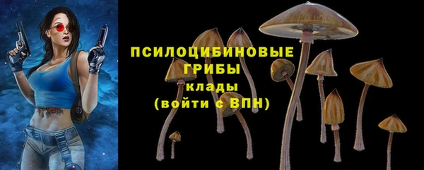 гашишное масло Снежногорск