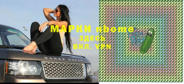 гашик Снежинск