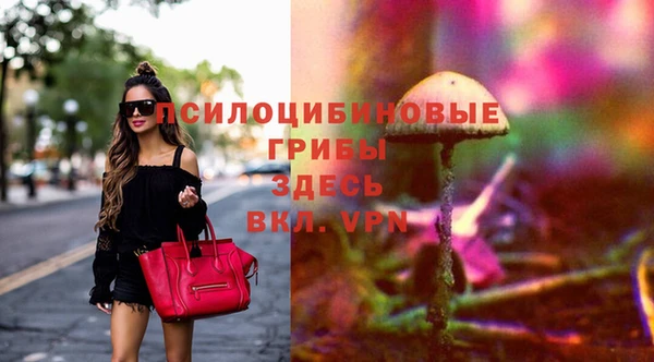 гидропоника Елабуга