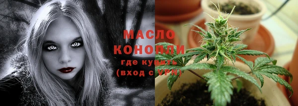 гашик Снежинск