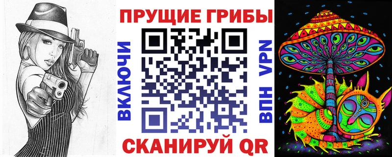 сколько стоит  KRAKEN ССЫЛКА  Псилоцибиновые грибы мицелий  Георгиевск 