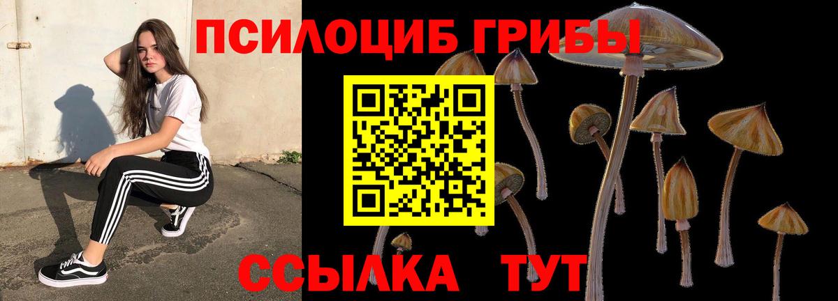 Георгиевск  Галлюциногенные грибы мухоморы  Вход с VPN 